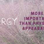 Energy is more important than physical appearance